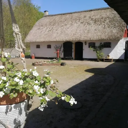 Gemuetliches Reetdachhaus Mit Kaminofen *