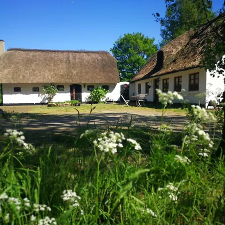 אכסניה Gemuetliches Reetdachhaus Mit Kaminofen ריבה