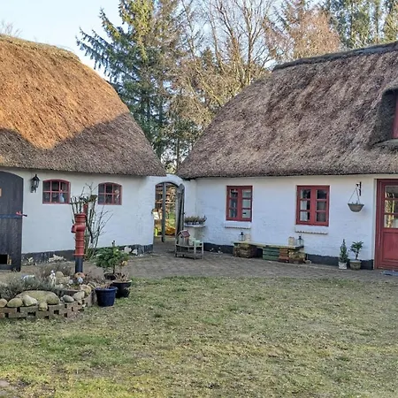 אכסניה Gemuetliches Reetdachhaus Mit Kaminofen ריבה