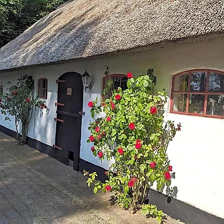 Gemuetliches Reetdachhaus Mit Kaminofen Ribe