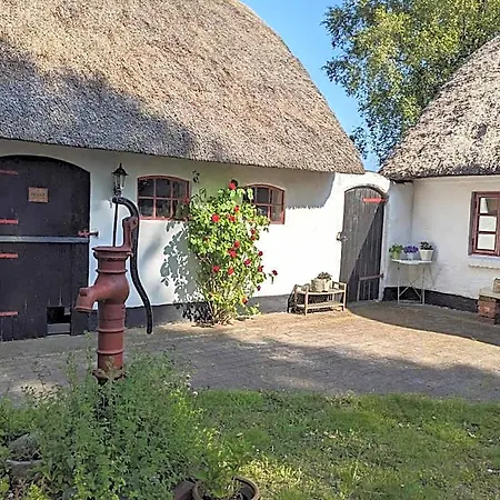 Hostel Gemuetliches Reetdachhaus Mit Kaminofen