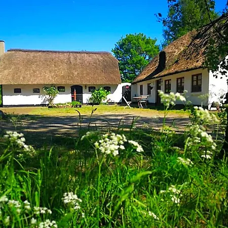 Gemuetliches Reetdachhaus Mit Kaminofen Hostel